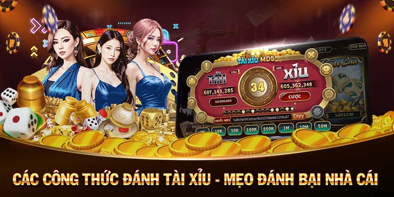 Tỷ Lệ Kèo - Football Betting Odds Analysis